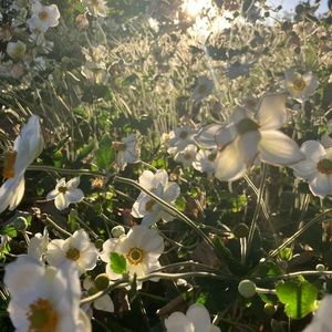 Meet your Posher, Kat aurora